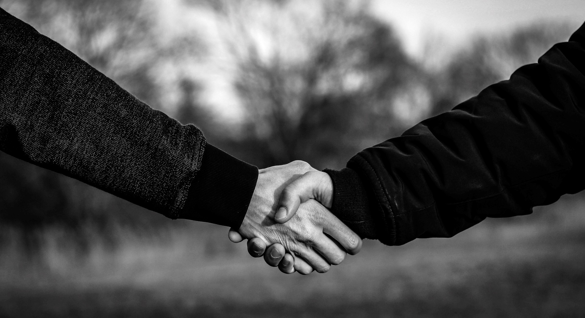 Linee guida ANAC. Conflitti di interesse nelle procedure di gara.